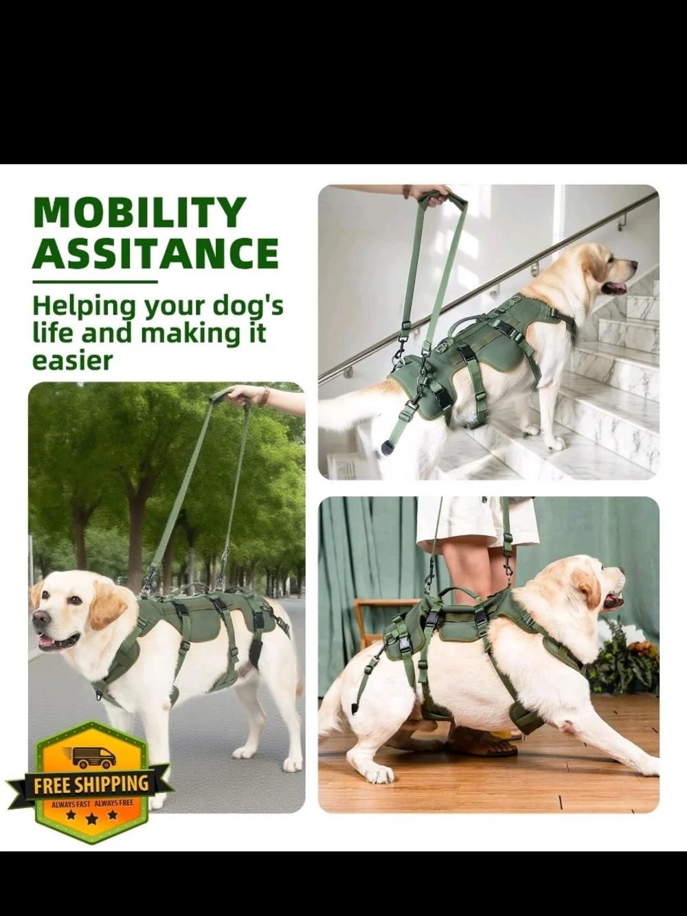 Adjustable Olive Green Dog Support Harness